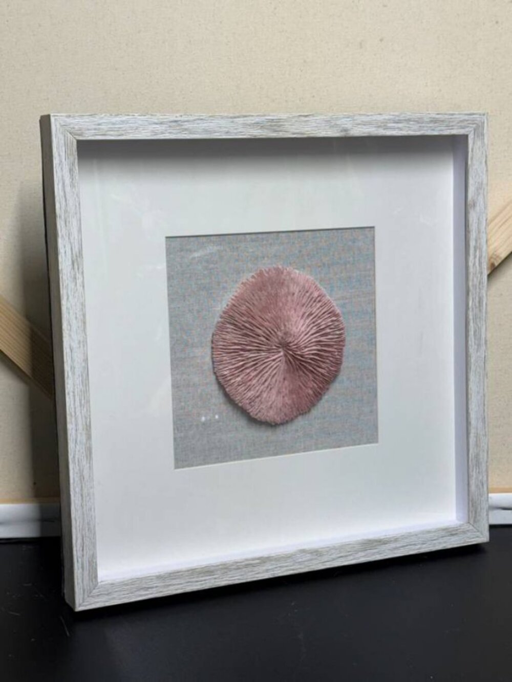 ‘Pink Coral’ Accent 3D Art with Whitewashed Wood Frame
